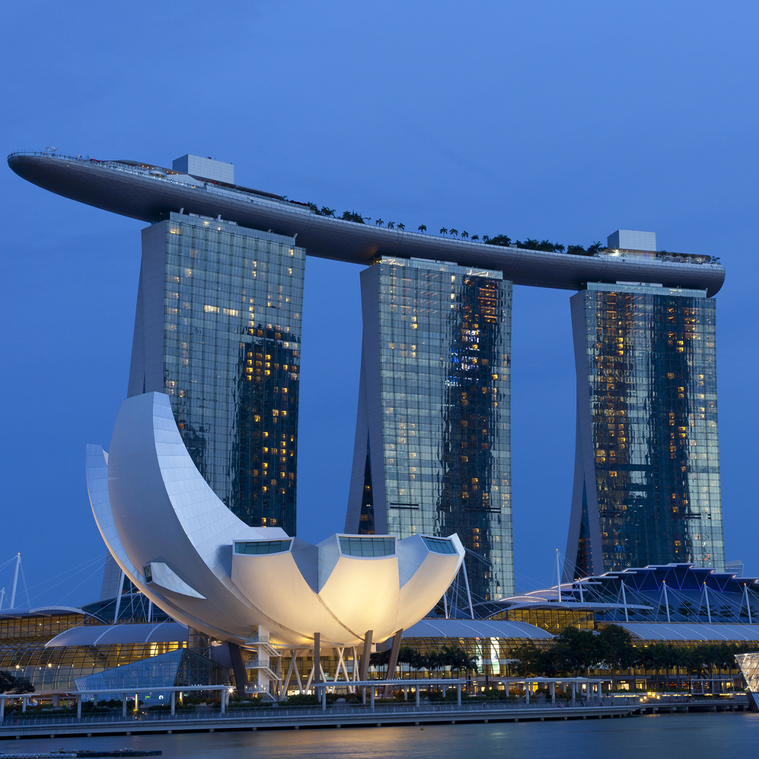 Singapore Elevated: Skylines, Gardens, and Island Shores